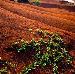 B站游戏大赏：历史文化题材3D冒险解谜《藏梦》中文预告 支持简体中文
